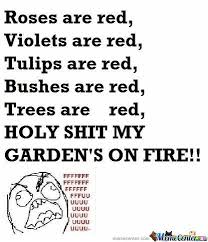 Roses Are Red Violets Are Red Funny Valentines Poems Roses Are Red Funny Funny Quotes