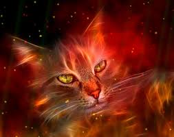 Fire Element Animated Wallpaper Preview Digital Wallpaper Hd Cat 923x730 Download Hd Wallpaper Wallpapertip