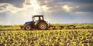 Aquaculture & agriculture in malaysia, kuching, malaysia. Top 10 Agriculture Companies In Malaysia List 2021 Updated
