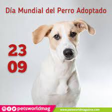Un año de perro equivale a siete años de un humano. Dia Mundial Del Perro Adoptado 23 De Septiembre Petsworldmagazine Revistademascotas Panama Mascotas Dia Mundial Del Perro Dia Del Perro Perros