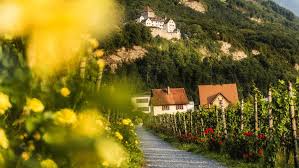 Five institutions working for sustainable solutions that reduce poverty and build shared prosperity in developing countries. Liechtenstein Weg Wanderweg Durch Das Furstentum Liechtenstein