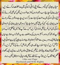 Malik Safeer Sajdi (maliksafeers)