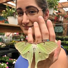 I don't know if everyone's heard about the Kissing Bug that's coming from  the south... Well, one just landed