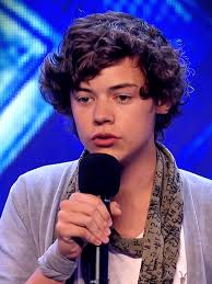 Harry Styles Mom Grammy