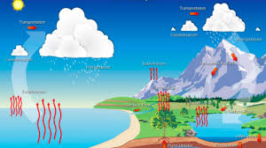 The Water Cycle Article Ecology Khan Academy