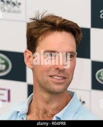 Portrait of a sport horse during dressage competition under saddle.  Beautiful dressage horse portrait closeup during competition