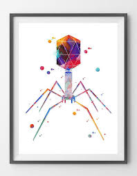 Bacteriophage Art Print Science Art Phage Watercolor Print Etsy Biology Art Science Art Drawings Etsy Art Prints