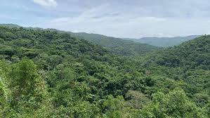 ¡Cuidado, mi gente! Huracán Melissa da un golpe brutal a Cuba y no viene de paseo 💨