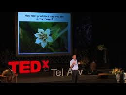 The diy pest control plans may only address the current pest issues, and they may not provide you protection against future infestations. Natural Pest Control Using Bugs Shimon Steinberg Ted Ed