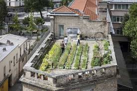 La Toiture Du College Henri Matisse 20e Vegetalisation Jardins Sur Les Toits Toiture Verte
