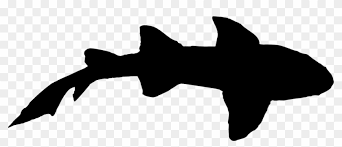 Free Download Transparent Background Shark Silhouette Clipart Hd Png Download 1125x432 5116972 Pngfind Polish your personal project or design with these silhouette transparent png images, make it even more. transparent background shark silhouette