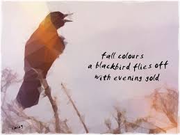 Pin By Nessa Mccasey On Haiku Poetry Haiku Poetry Japanese Poetry Haiku Poems
