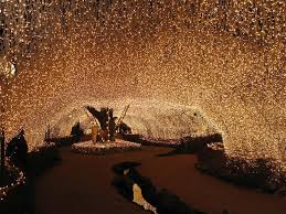 All Sizes Tunnel Of Light Flickr Photo Sharing Wedding Lights Pictures Scenery