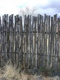 Coyote Fence Mit Bildern Moderne Landschaftsgestaltung Zaun Garten