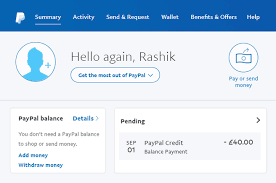 Do You Want To Know What Does Paypal Payment Pending Mean And Why Is Paypal Summary Activities Payment Paypal