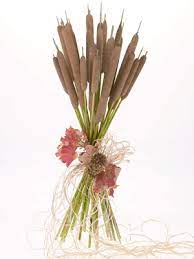 Cattail flowers from may to july, then the brown flower heads open in early fall to release thousands of tiny white seeds that disperse with the wind. Cattail Bouquet Flower Arrangements Diy Wedding Flowers Fall Wedding