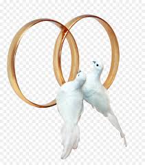 Mit tauben zur hochzeit werden bildschöne fotos. Tauben Hochzeit Ring Clip Art Hochzeit Png Herunterladen 1484 1664 Kostenlos Transparent Korper Schmuck Png Herunterladen
