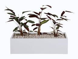 This box planter looks really great for something that is made exclusively out of pallets, which are one of the simplest and easiest materials to work with. Planter Boxes Non Perforated Davell