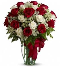 For over 100 years through our 15 locations we meet the needs of retail florists. Day And Night San Antonio Tx Florist