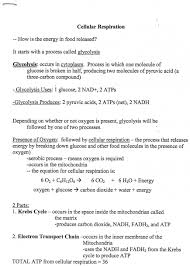 Some of the worksheets for this concept are enzyme work answer key, cell transport answer, amoeba sisters video recap introduction to cells, atp work answers, photosynthesis and respiration answer key, fungi coloring work answers key, amoeba sisters video recap photosynthesis and cellular, cellular respiration break down energy answer keys. Cellular Respiration Labeling Worksheets Printable Worksheets And Activities For Teachers Parents Tutors And Homeschool Families