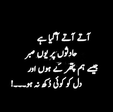 Stylish Billi 😺 😺 | Urdu poetry romantic, Love poetry urdu, Urdu ...