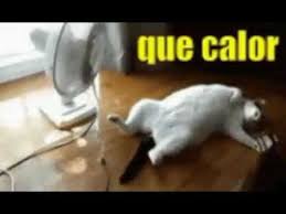 Cuando Tienes Mucho Calor Casi Asi Estas Youtube