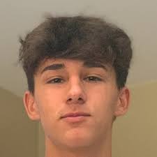 Elijah Martinez's Valhalla High School Bio