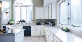 the best kitchen degreaser for a deep