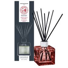 Aroma - Energy Mist Electronic Diffuser By Maison Parfum Berger – Lampe  Store Authorized Maison Berger Dealer