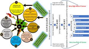Aspiro concluir exitosamente el curso de community manager ya que soy cibernauta, bloguero, me gusta escribir… en fin casi toda mi vida está vinculada a la red: Seven Potential Sources Of Arsenic Pollution In Latin America And Their Environmental And Health Impacts Sciencedirect