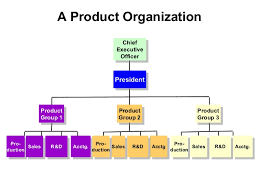 Foundation Of Organizational Structure