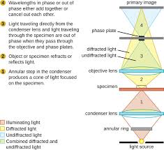 Instruments Of Microscopy Microbiology