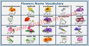 Flower names in animation video for kids and children. Flowers Name With Images In Urdu To English Pdf