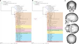 Deciphering African Late Middle Pleistocene Hominin