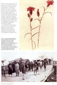 Image result for Pleiotaxis