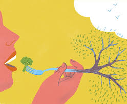 To revisit this article, visit my profile, thenview saved stories. Healthy People Healthy Planet The Search For A Sustainable Global Diet