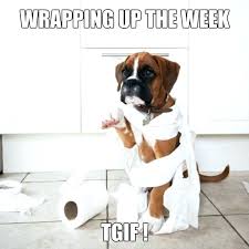 We did not find results for: Most Funny Friday Quotes Sayings Images