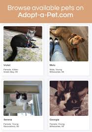About features services terms of service removal request. Virtual Rehoming Wisconsin Humane Society