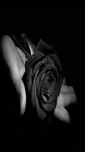 Love Black And White Wallpaper In 2020 Black And White Wallpaper Black Rose Rose Wallpaper