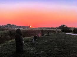 Petroglyphs of kamyana mohyla are dated from upper paleolithic (kukrek culture) to medieval, with stone age depictions subjected to most ar. Kamyana Mohyla Stone Grave Historical Reserve In Ukraine
