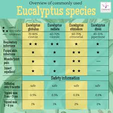 Shop organic eucalyptus essential oil at mountain rose herbs. Types Of Eucalyptus Uses And Safety Tisserand Institute
