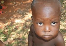 Chief Development Officer