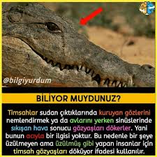 Pabuctr Pabuctr De 2 Cift 99 Tl Kampanyamiz Tum Hiziyla Devam Ediyor Sok Kampanya 59 Tl Goruntuler Ile Bilgi Ilham Verici Sozler Psikolojik Gercekler