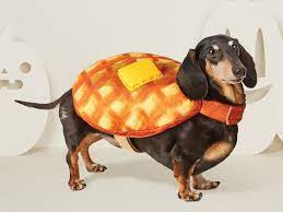 Adorable Food Themed Halloween Costumes For Pets Food Network Pet Halloween Costumes Halloween Pet Costumes Dogs Food Halloween Costumes