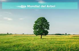 Son los pulmones del planeta, hacen puro el aire y contribuyen a regular el clima.tienen una gran importancia sobre el medio ambiente y. Dia Del Arbol 2021 Un Dia Especial Para Plantar Arboles