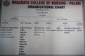 bsc nursing college diploma nursing college nursing