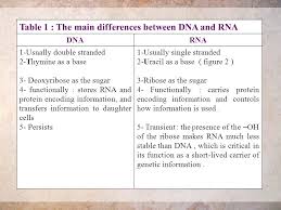 Dna, short for deoxyribonucleic acid, is a molecule that encodes the genetic instructions that is used for the development and functioning of cells in a living organism and many viruses. Transcription And Translation The Objective To Give Information About 1 The Typical Structure Of Rna And Its Function And Types 2 Differences Between Ppt Download