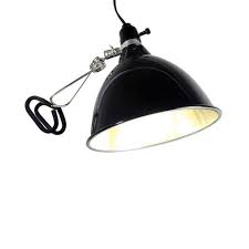 Vivosun 6500k 4ft t5 ho fluorescent grow light fixture for indoor plants, ul listed high output fluorescent tubes, 6 bulbs. Hydrofarm Agrobrite Indoor Plant Dayspot Grow 32 Watt Light Lamp Kit With Fluorescent Bulb Clip Clamp And Power Cord 150 Watt Equivalent Target