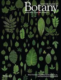 Image result for Subularia monticola