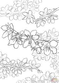 Maybe you would like to learn more about one of these? Japanese Cherry Blossom Line Drawing Novocom Top